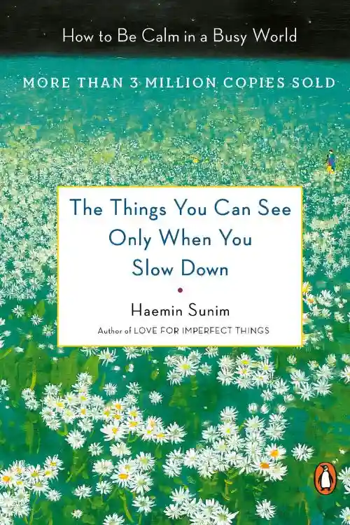 The Things You Can See Only When You Slow Down by Haemin Sunim