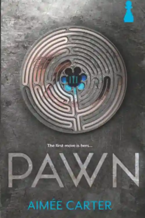 Books recommended for fans of Divergent - Pawn by Aimee Carter