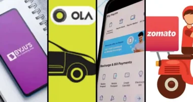 Top 10 Unicorn Startup Companies in India 2022