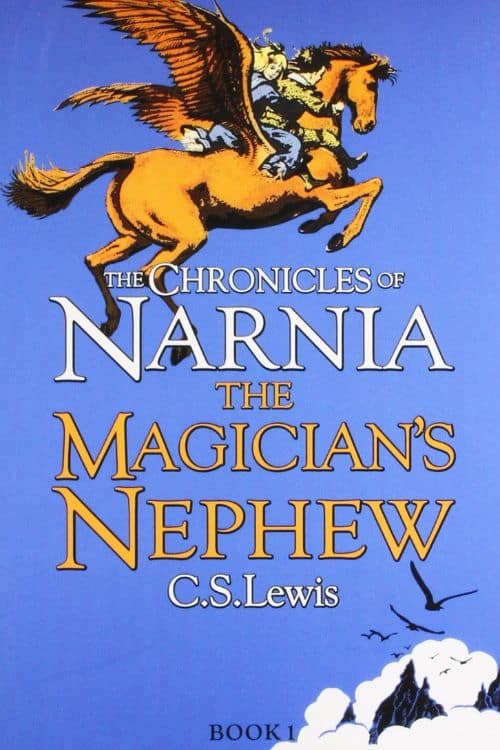20 great books to read with your child - The Magician’s Nephew by C.S. Lewis (Sixth Novel of the The Chronicles of Narnia)