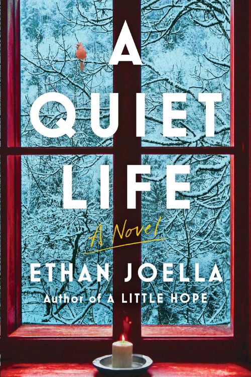 Upcoming Books of November and December (2022) - A Quiet Life by Ethan Joella