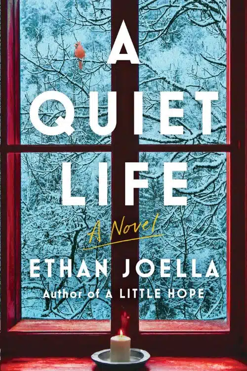 Upcoming Books of November and December (2022) - A Quiet Life by Ethan Joella