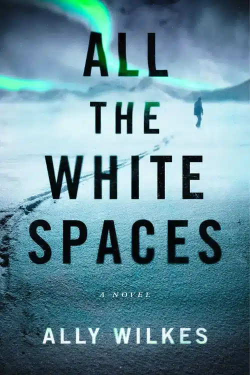All the White Spaces by Ally Wilkes