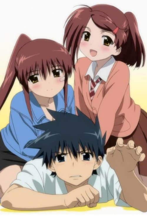 10 Best Love Triangles in Manga and Anime - Kiss X Sis: Riko Suminoe / Keita Suminoe / Ako Suminoe