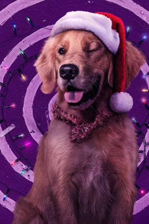 Top 10 Animal Characters From Comics - Pizza Dog