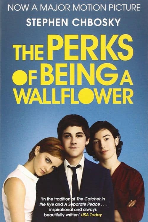 10 Best Books for Teenagers You Must Read - The Perks of Being Wallflower by Stephen Chbosky