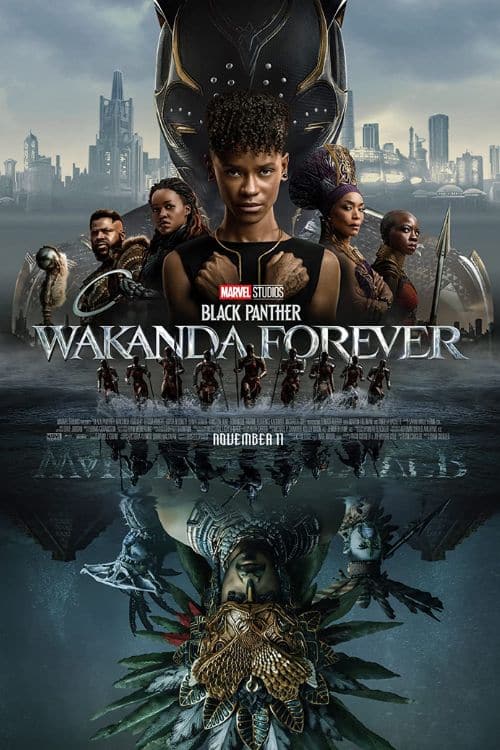  Black Panther: Wakanda Forever 