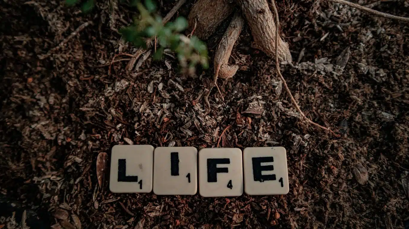 How to move on in life?