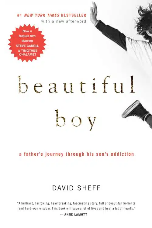 Best Books on Addiction and Recovery - Beautiful Boy by David Sheff