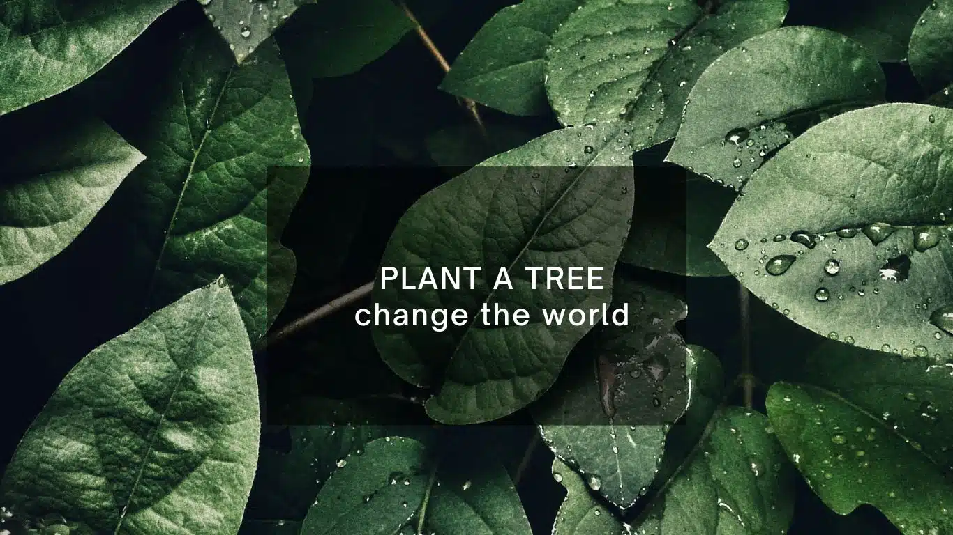 10 Lifestyle Changes for Environment Protection