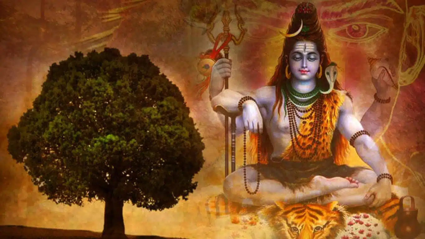 Rudraksha, the tears of Lord Shiva