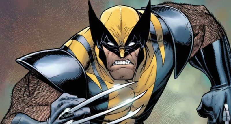 Origin Story of Marvel's Most Iconic Superheroes; Wolverine