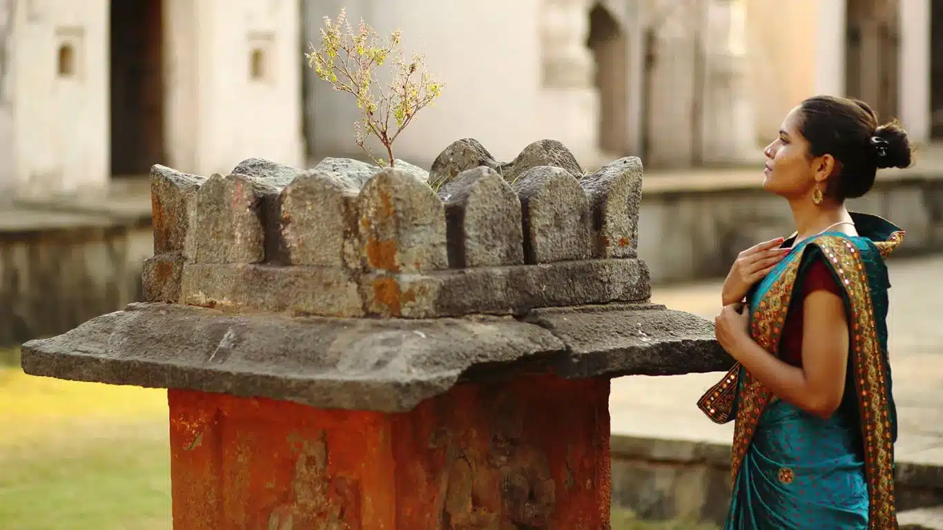 Significance of Tulsi (Holy Basil) in Indian Culture