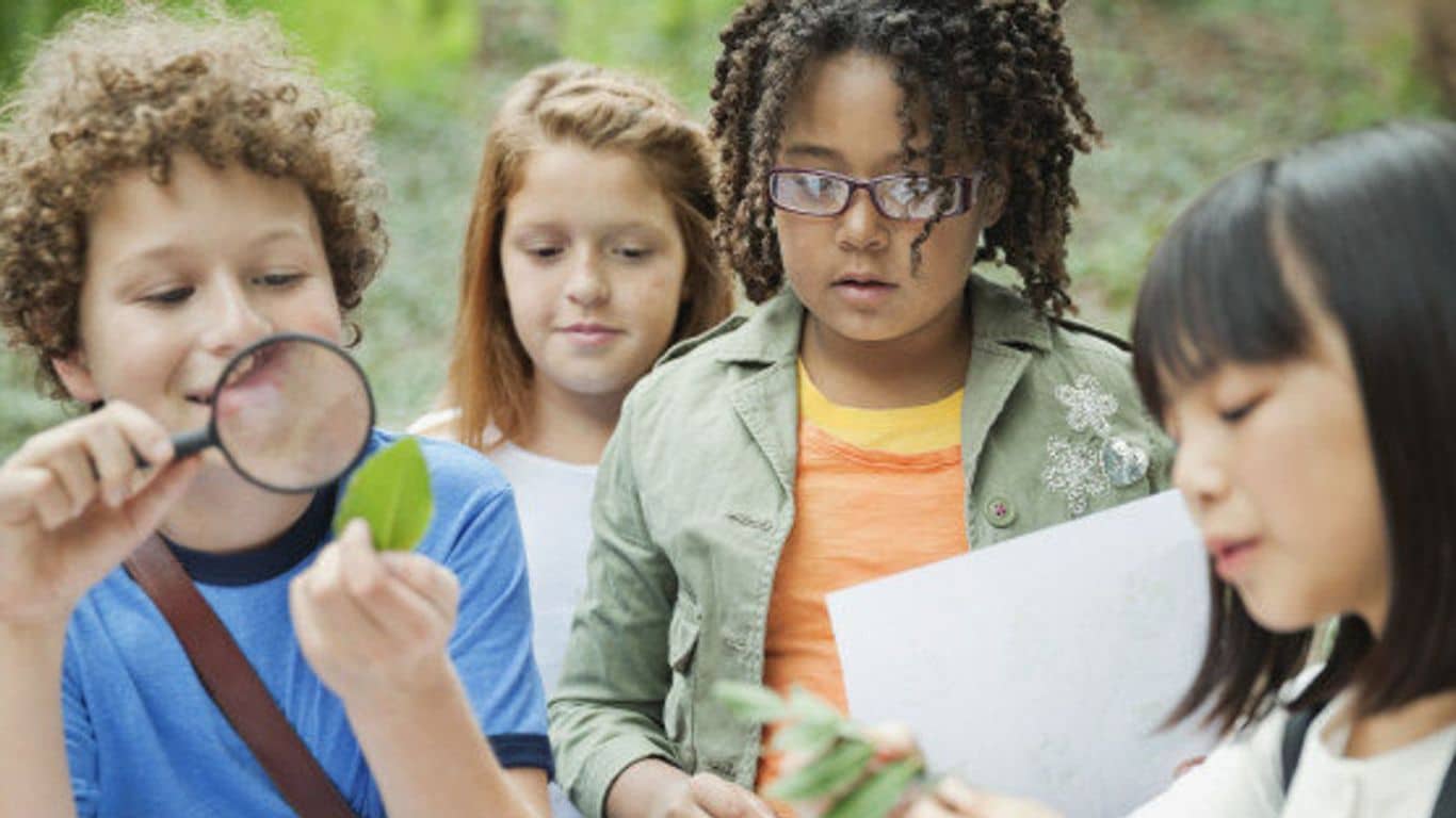 Outdoor Education: Why Nature is a Powerful Teacher