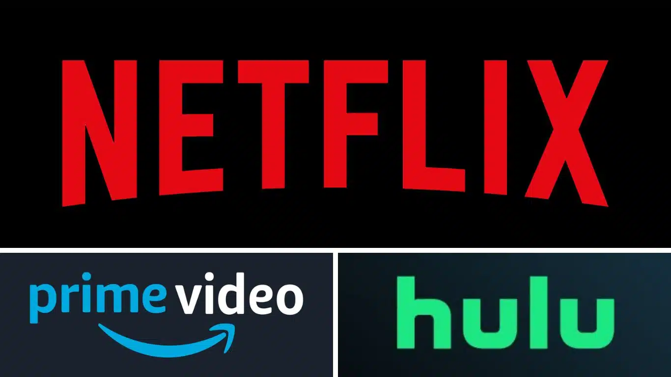 Impact of Streaming Services on the TV Industry - Disruption of the traditional television