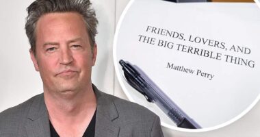 Friends, Lovers, and the Big Terrible Thing by Matthew Perry | Book Review