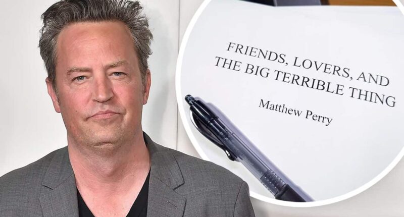Friends, Lovers, and the Big Terrible Thing by Matthew Perry | Book Review