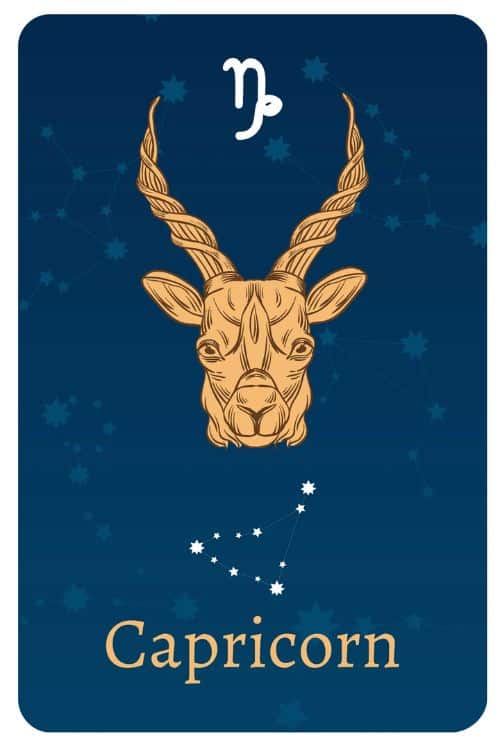 Importance of Zodiac Signs and Symbols - Capricorn (December 22 – January 19)