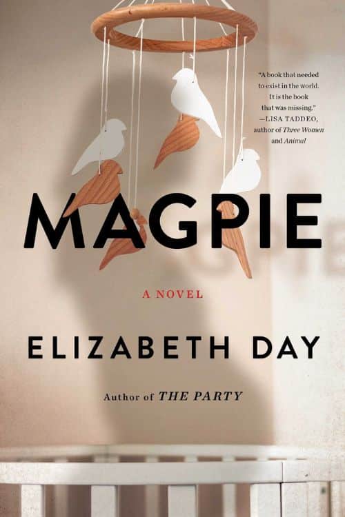 Books of 2022 That Deserve a TV Series Adaptation - Magpie