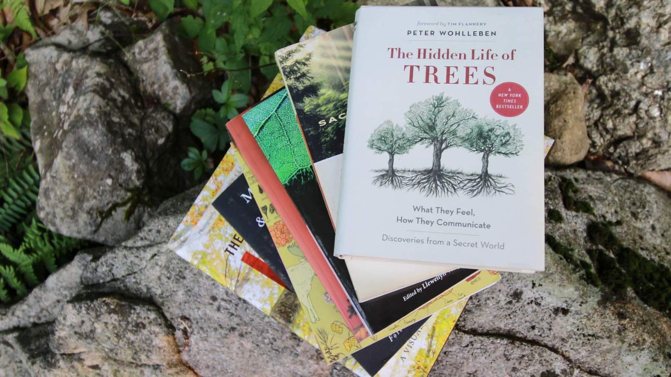 10 Non Fictional Book Genres That You Should Read