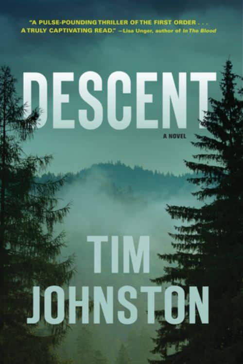 10 Best Mystery and Thriller Novels For a Suspenseful Read - Descent by Tim Johnston