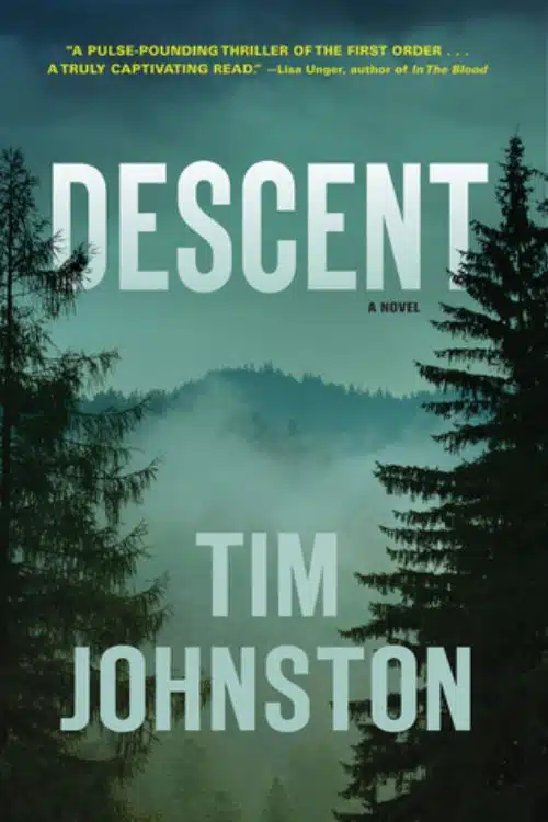 10 Best Mystery and Thriller Novels For a Suspenseful Read - Descent by Tim Johnston