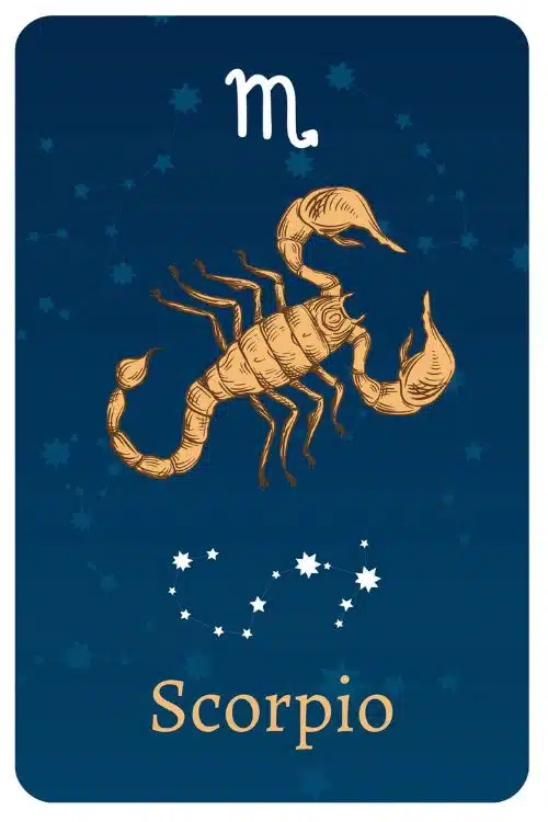 Importance of Zodiac Signs and Symbols - Scorpio (October 23 – November 21)