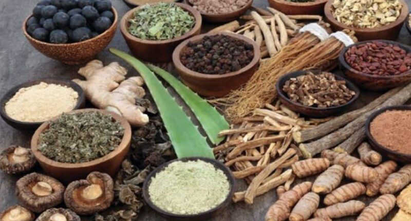 Impact of Ayurveda in Modern Medical Science