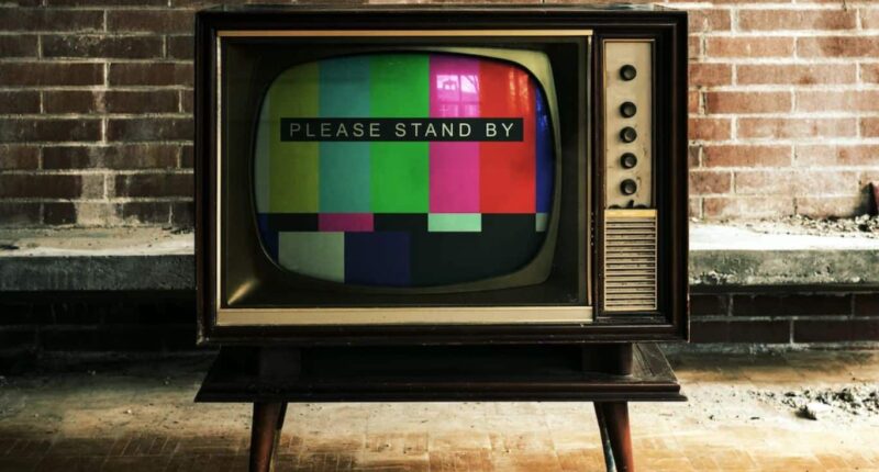 Impact of Streaming Services on the TV Industry