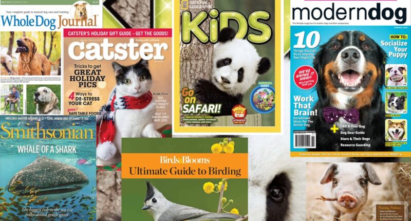 Top 10 Magazines For Wildlife Lovers