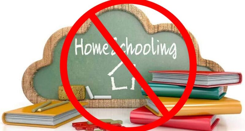 10 Disadvantages of Homeschooling