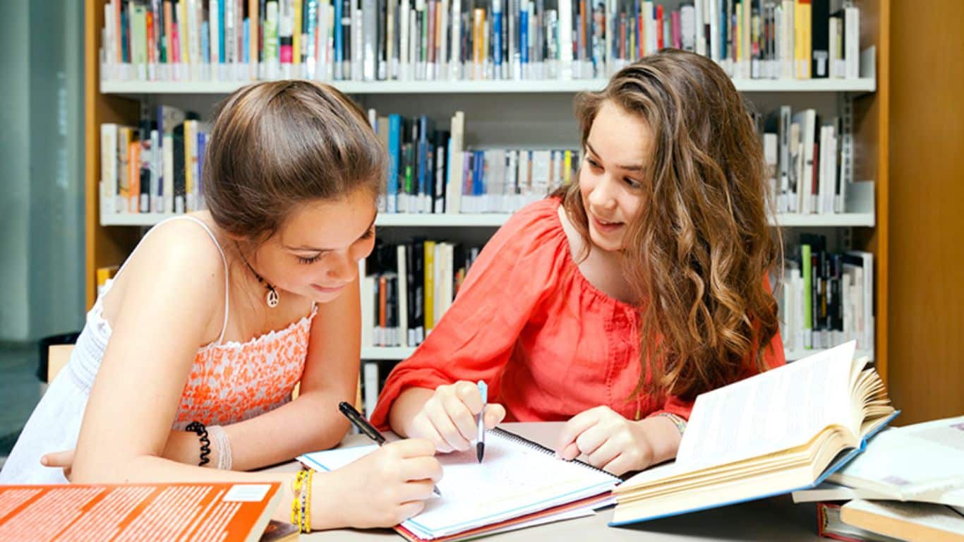 How Libraries Foster Literacy And Learning - Homework help