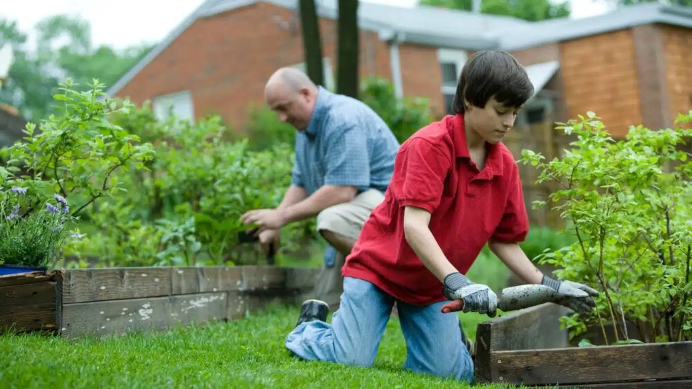 Ways to Promote Green Living