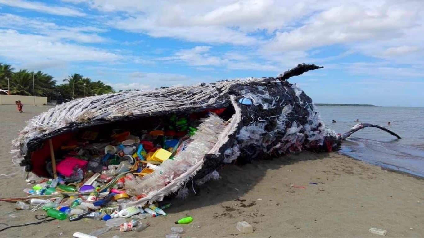 Why is Plastic Pollution So Harmful For The Environment