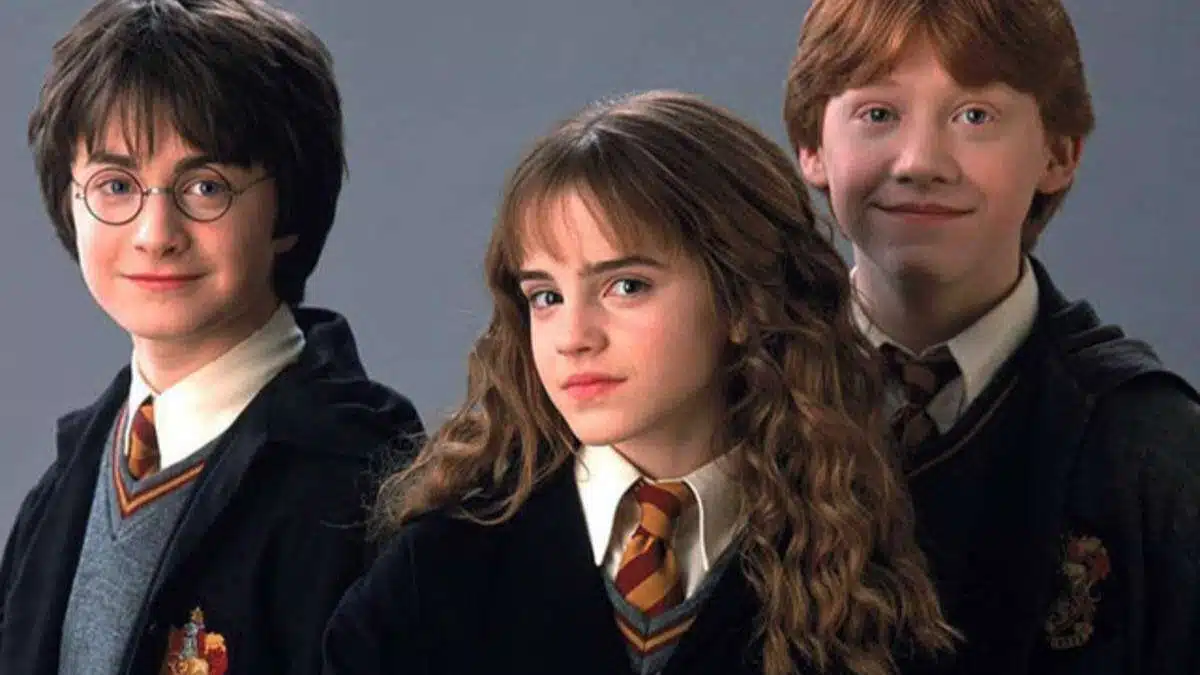 Harry and his friends travel the world