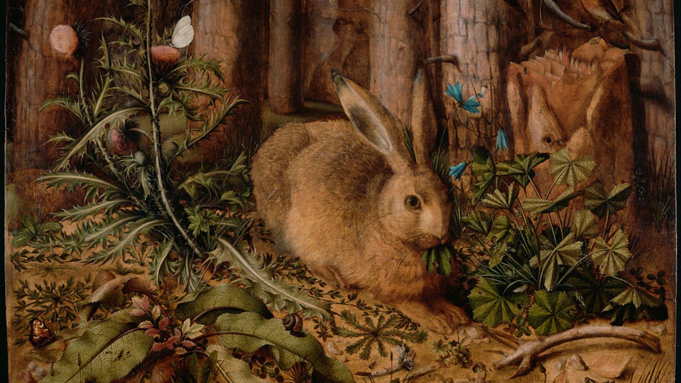 The Epic Tales of Japan's Ancient Myths - The Legend of the Five Hundred Rabbits