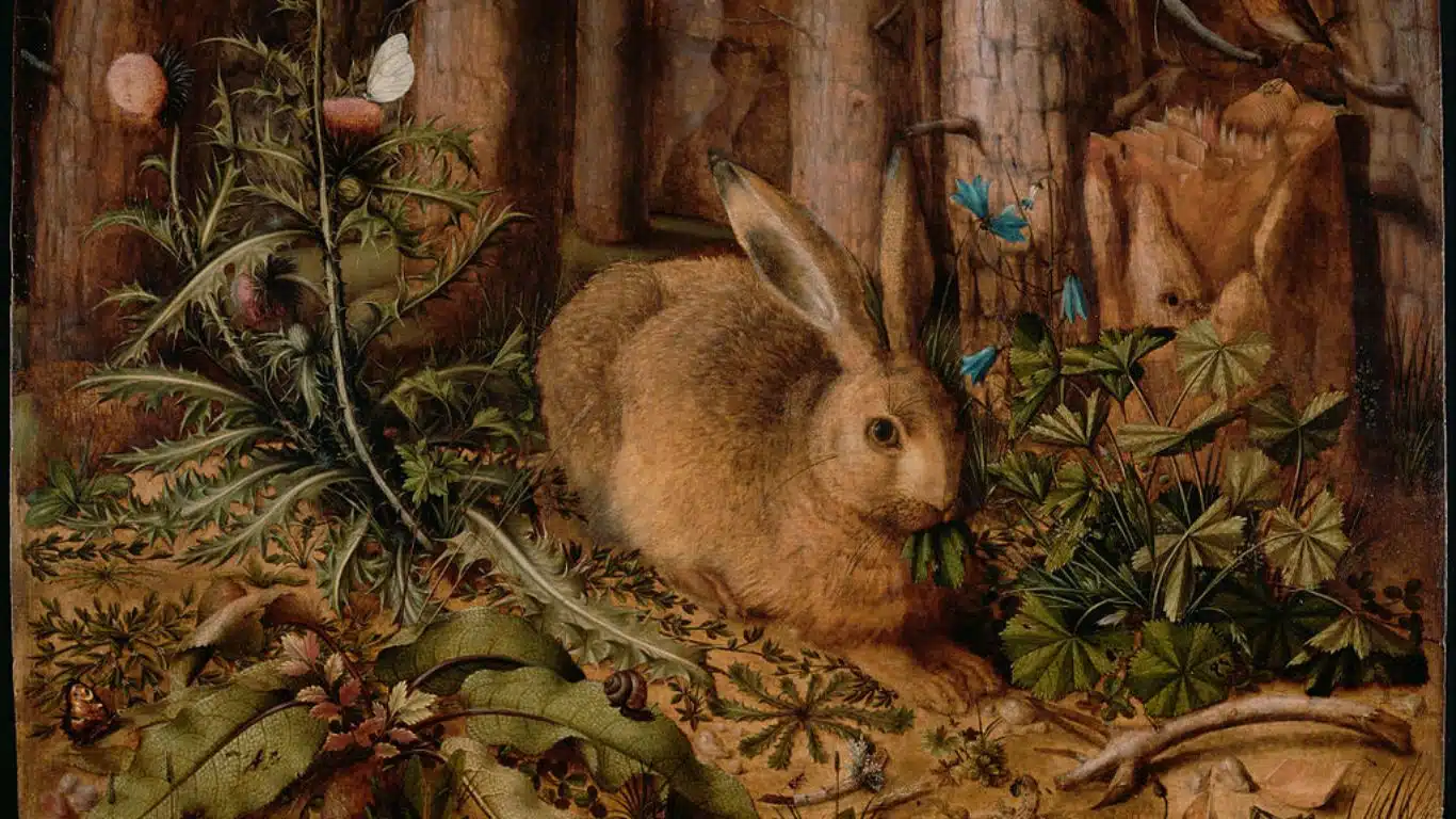 The Epic Tales of Japan's Ancient Myths - The Legend of the Five Hundred Rabbits