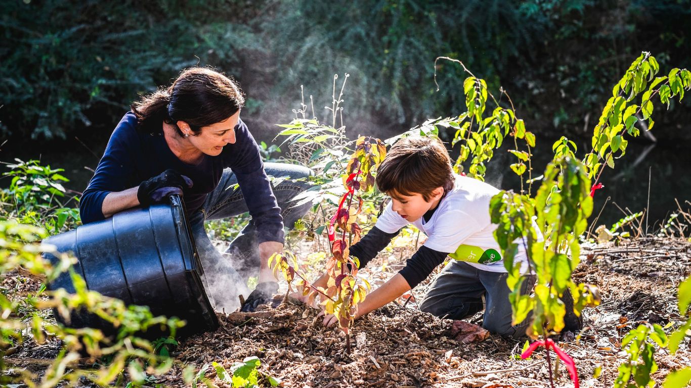 The Importance of Biodiversity and How to Protect it - Invasive species management