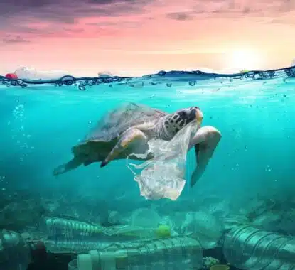 The Threat of Plastic Pollution and What We Can Do About It