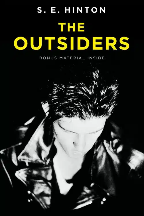 15 Novels for High School Students - The Outsiders by S.E. Hinton