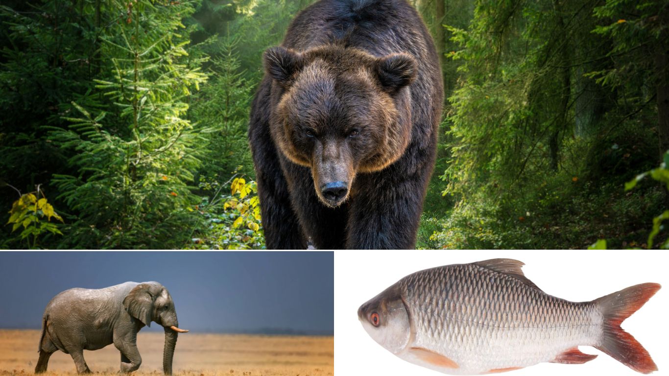 Significance of Animals in Mythology Around the Globe