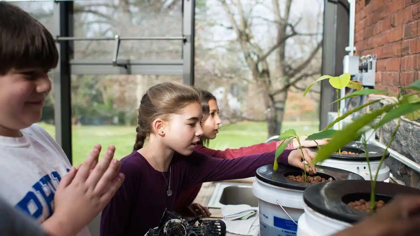 Encourage Active Learning