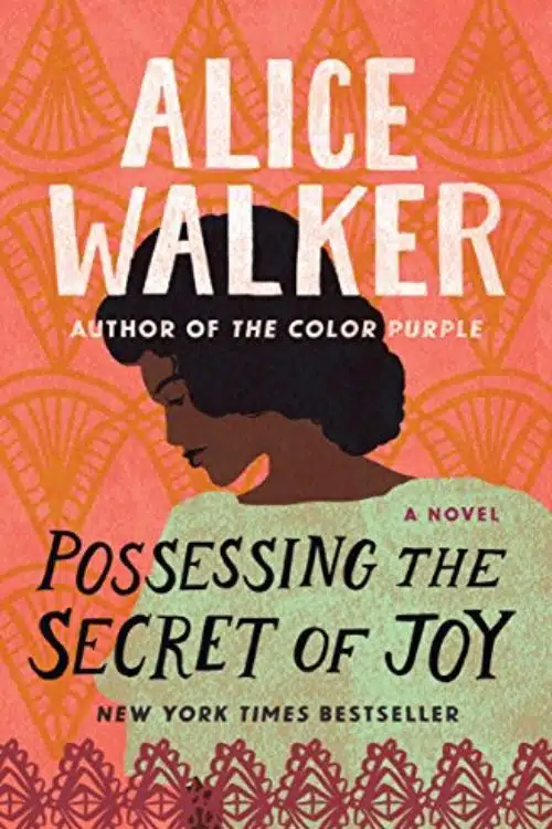 Possessing the Secret of Joy (1992)