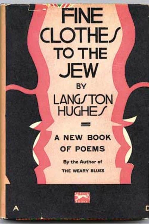 Fine Clothes To The Jew by Langston Hughes