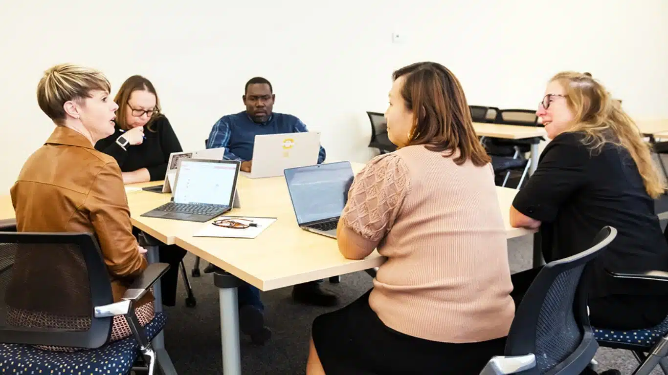 Faculty development and roles