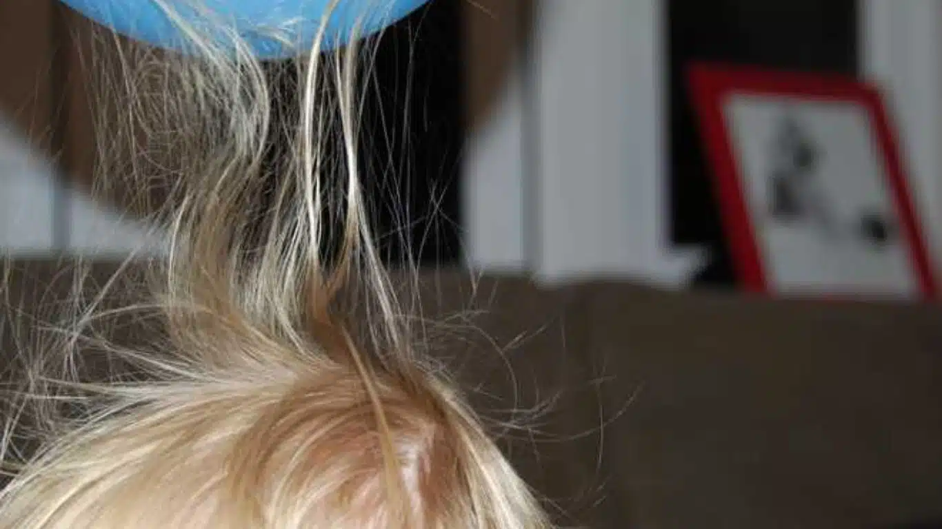 Experiment with static electricity