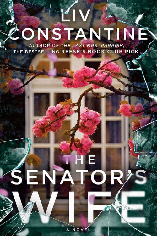 10 Best Mystery Novels of May 2023 - The Senator's Wife by Liv Constantine