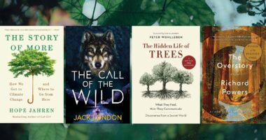20 Must-Read Books For Nature Lovers