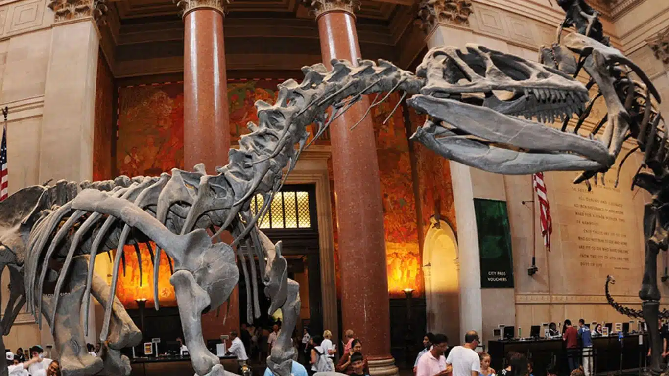 The American Museum of Natural History, USA
