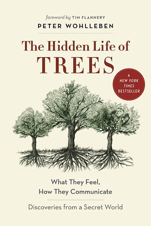 "The Hidden Life of Trees" by Peter Wohlleben